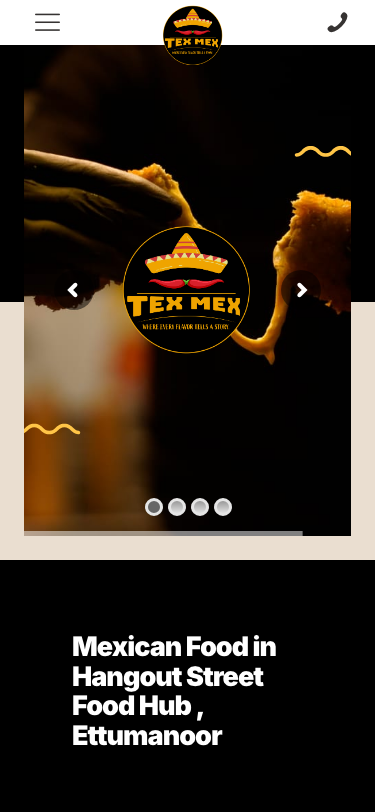 TexMex India Mobile